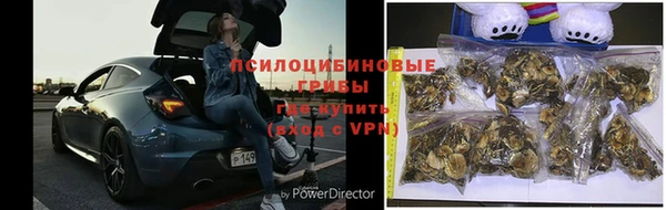 apvp Нягань