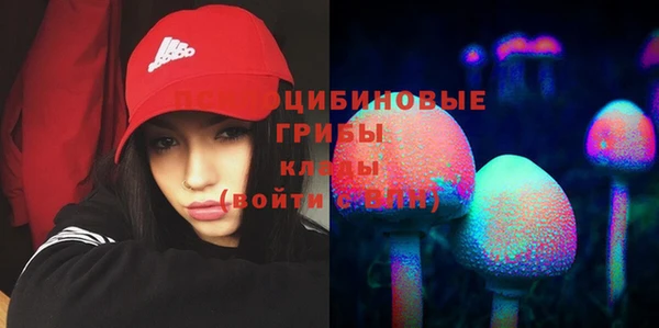 apvp Нягань