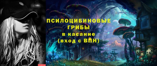 ПСИЛОЦИБИНОВЫЕ ГРИБЫ Зерноград